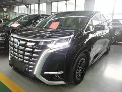 Denza D9 DM-i 980 Four-Wheel Drive Premium - photo 1