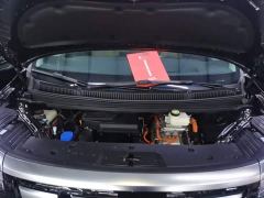 Denza D9 DM-i 980 Four-Wheel Drive Premium - photo 19