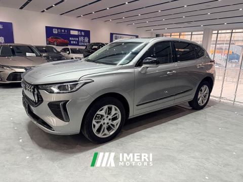 2024 Haval Haver Rabbit 1.5T Progressive - car from China