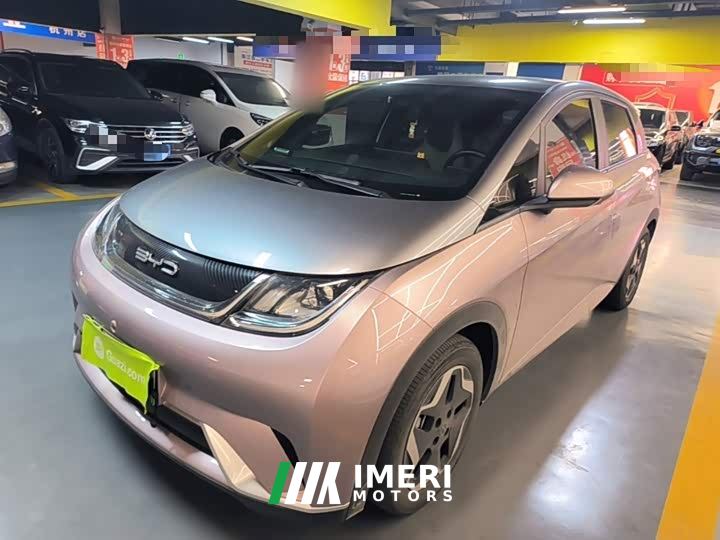BYD Dolphin 405km Fashion Edition - ავტომობილი ჩინეთიდან