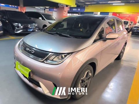2022 BYD Dolphin 405km Fashion Edition - car from China