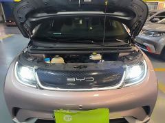 BYD Dolphin 405km Fashion Edition - ფოტო 19