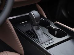 Lexus ES 300h Premium Edition - photo 19