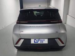BYD Seagull Glory Edition 405km Flying Edition - photo 5