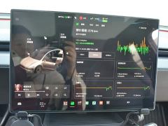 Tesla Model Y L Long Range All-Wheel Drive - ფოტო 13