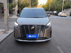 Buick GL8 ES Luxe Enjoyment Edition - ფოტო 2
