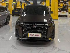 Buick GL8 Land Executive Cabin 652T Luxury - ფოტო 1
