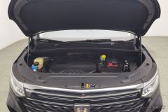 Roewe MG iMAX8 400TGI Huanju Edition - photo 7