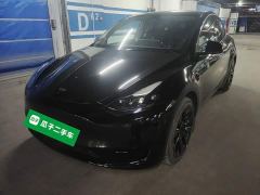 Tesla Model Y Rear-Wheel Drive - ფოტო 1