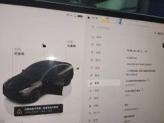 Tesla Model Y Rear-Wheel Drive - ფოტო 14