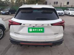 Haval Divine Beast 1.5T Smart Enjoy Edition - photo 5