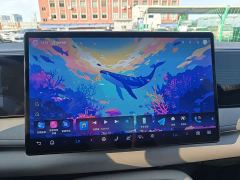 BYD Sealion 06 DM-i 205 Pilot Plus - фото 17