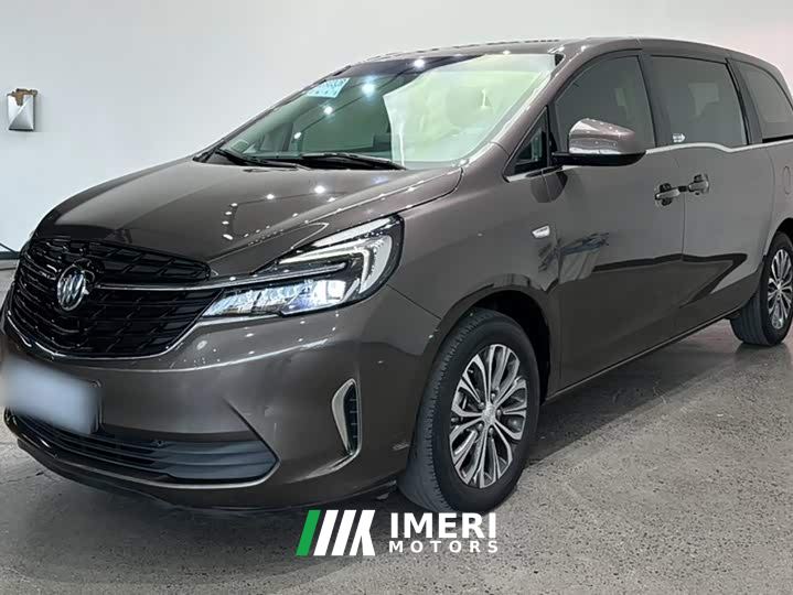 Buick GL8 Land Business Class 652T Comfort - автомобиль из Китая