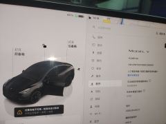 Tesla Model Y 545km Rear-Wheel Drive Edition - ფოტო 14