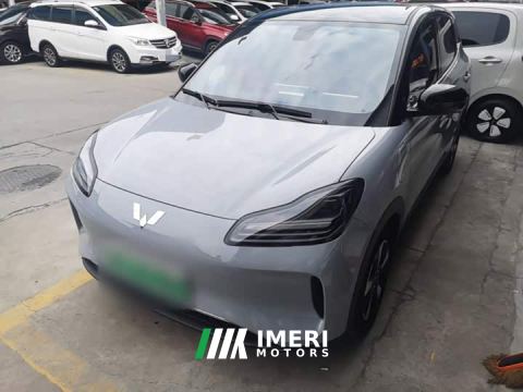 2024 Wuling Binguo PLUS 330km 5-Seater - car from China