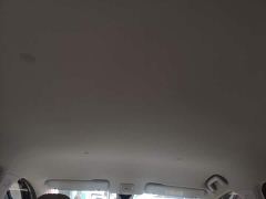 Wuling Binguo PLUS 330km 5-Seater - ფოტო 17