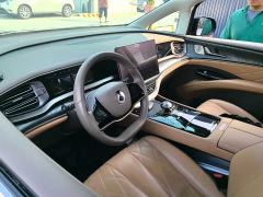 Denza D9 DM-i 1050 Premium - photo 15