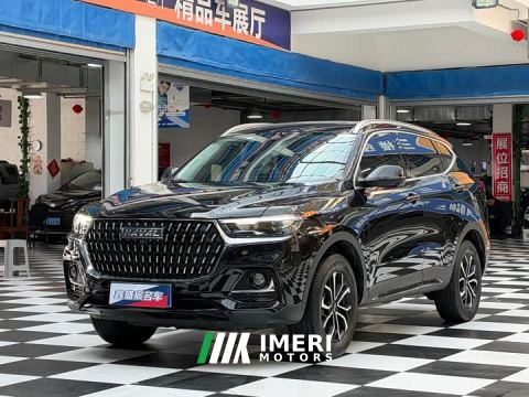2023 Haval H6 National Trend Edition 1.5T Automatic Urban Version - автомобиль из Китая