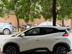 BYD Seagull Vitality Edition - ფოტო 4