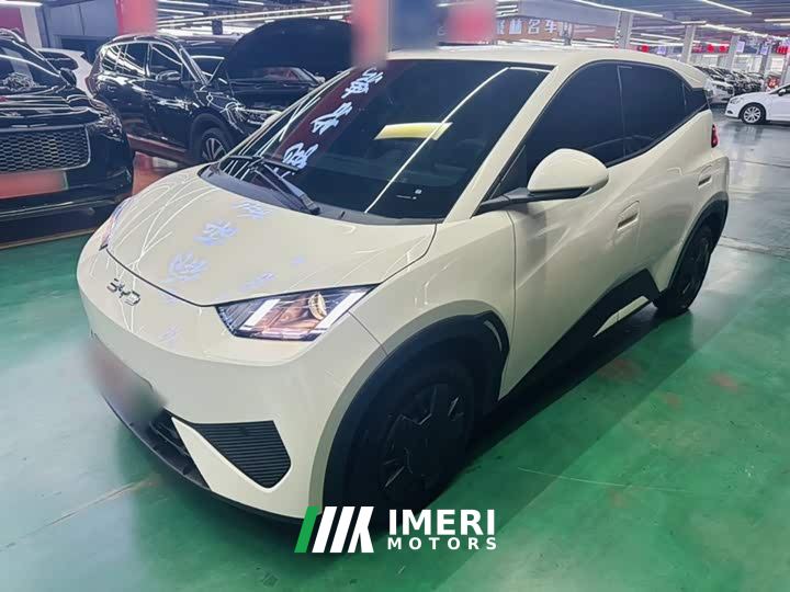BYD Seagull Smart Drive 305km Vitality Edition