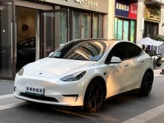 Tesla Model Y Performance All-Wheel Drive - ფოტო 1