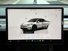 Tesla Model Y Performance All-Wheel Drive - ფოტო 10