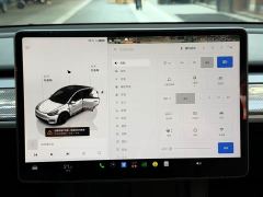 Tesla Model Y Performance All-Wheel Drive - ფოტო 11