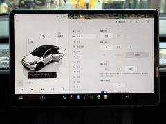 Tesla Model Y Performance All-Wheel Drive - ფოტო 12
