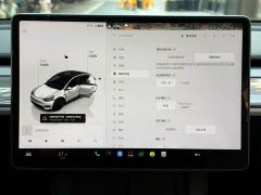 Tesla Model Y Performance All-Wheel Drive - ფოტო 13