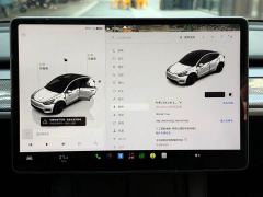 Tesla Model Y Performance All-Wheel Drive - ფოტო 14