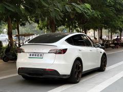 Tesla Model Y Performance All-Wheel Drive - ფოტო 16