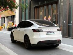 Tesla Model Y Performance All-Wheel Drive - ფოტო 18