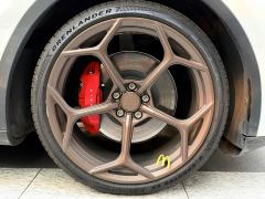 Tesla Model Y Performance All-Wheel Drive - ფოტო 19