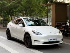 Tesla Model Y Performance All-Wheel Drive - ფოტო 3