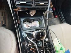 BYD Qin PLUS Glory Edition DM-i 55KM Leading - ფოტო 10