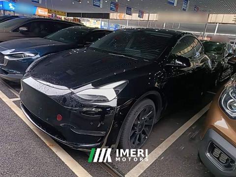 2021 Tesla Model Y Standard Range RWD - ავტომობილი ჩინეთიდან