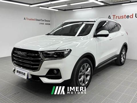 2022 Haval H6 1.5T Automatic Champion Edition - ავტომობილი ჩინეთიდან