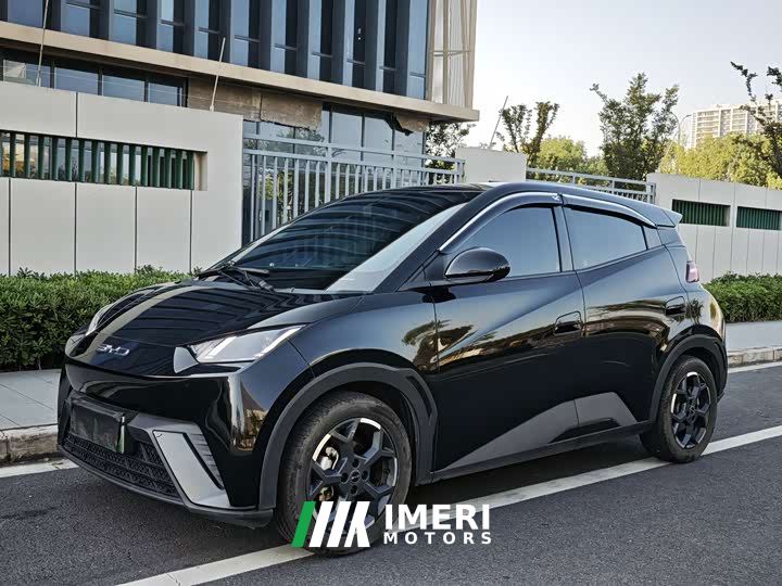 BYD Seagull 305km Freedom Edition - ავტომობილი ჩინეთიდან