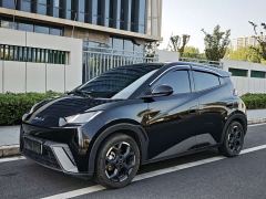BYD Seagull 305km Freedom Edition - ფოტო 1