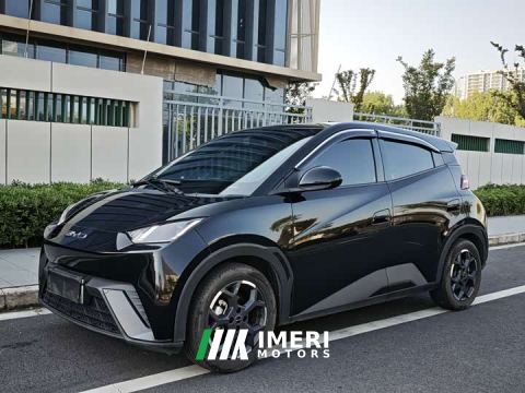 2025 BYD Seagull 305km Freedom Edition - ავტომობილი ჩინეთიდან