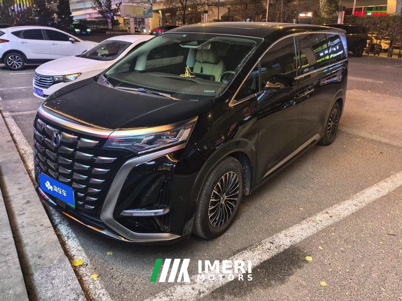 Denza D9 DM-i 1050 Luxury Edition - car from China