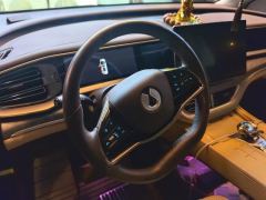 Denza D9 DM-i 1050 Luxury Edition - photo 18