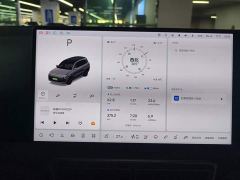 Li Auto L9 Max - ფოტო 14