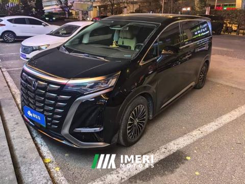 2024 Denza D9 DM-i 1050 Premium