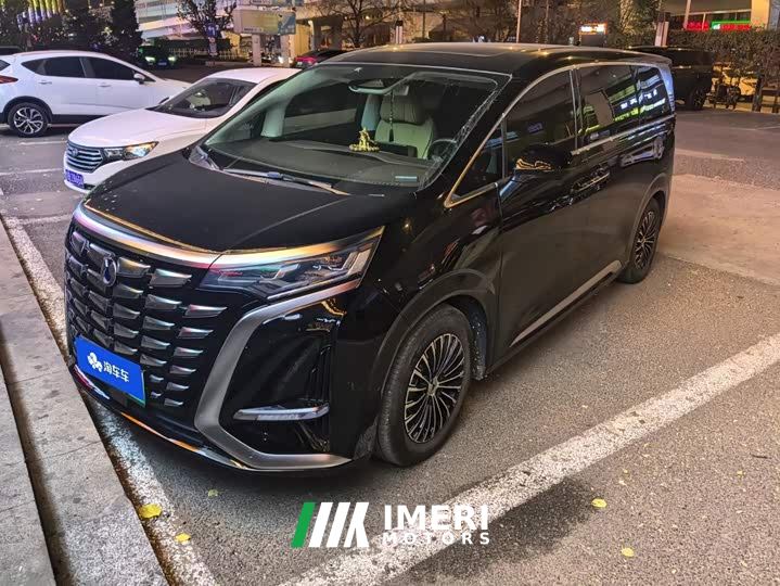Denza D9 DM-i 1050 Premium