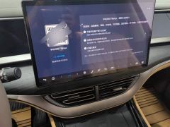 Denza D9 DM-i 970 AWD Premium Edition - ფოტო 13