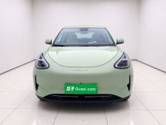 Geely Galaxy Star Wish 310km Dream Edition - ფოტო 2