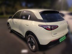 Geely Galaxy Star Wish 310km Dream Edition - ფოტო 4