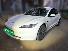 Tesla Model 3 606km Rear-Wheel Drive Edition - фото 1