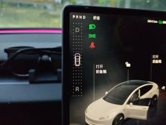 Tesla Model 3 606km Rear-Wheel Drive Edition - фото 10